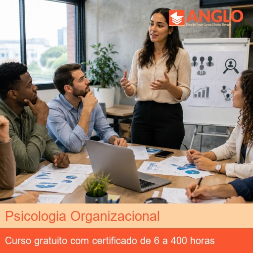 Psicologia Organizacional